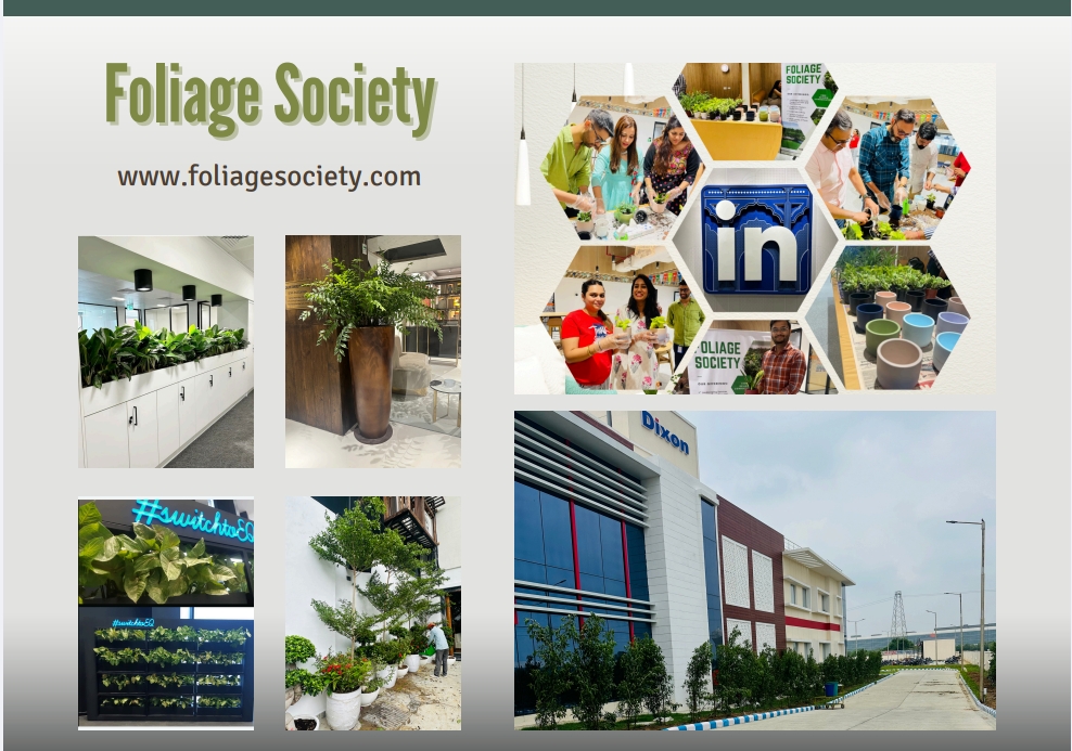 Foliage Society: Transforming Corporate Workspaces into Green Havens