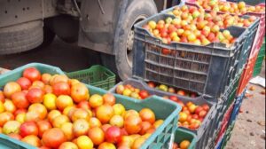 "Finance Minister Nirmala Sitharaman Addresses Inflation Concerns, Highlights Tomato Price Mitigation Efforts"