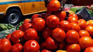 ONDC's Discounted Tomato Sales Reach 10,000 kg in 6 Days: Here's How to Buy Online