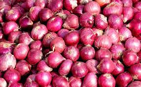 Indian Government Imposes Minimum Export Price of USD 800 per Tonne on Onions until December 31
