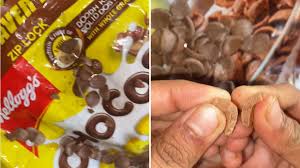 Kellogg's Chocos Controversy: Man Discovers Worms Inside Cereal, Company Responds