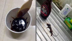 Instagram Users Allege Finding Dead Rat in Sealed Hershey's Chocolate Syrup Bottle, Hershey's Apologizes