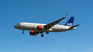 Scandinavian Airlines Flight Makes Emergency Landing After Live Mouse Found in In-Flight Meal