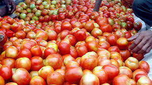 Tomato Prices Skyrocket to ₹120 per Kg, Onions and Other Vegetables Also Witness Sharp Rise