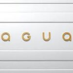 “Jaguar Unveils New Logo in Rebranding Effort, But Social Media Reactions Are Mixed”