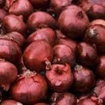 Bengaluru Delivery Man’s Unexpected Request for Onion Leaves Customer Baffled