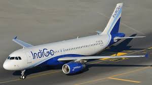 Ex-Infosys CFO Criticizes IndiGo Over Lack of Air Conditioning on Plane; Airline Responds