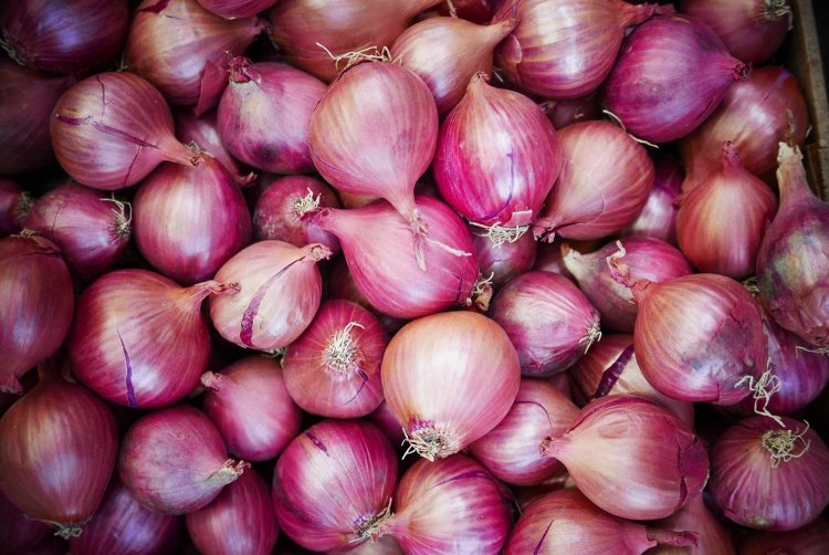 Centre Withdraws 20% Duty on Onion Exports, Effective from April 1, 2025