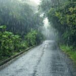 1751441409-heavy-rainfall-expected-across-several-parts-of-india-imd-issues-yellow-alert-7111