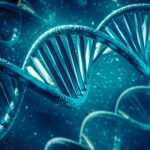 Viventis: Pioneering the AI-Genomics Frontier in Cancer Care