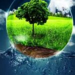 images (4)