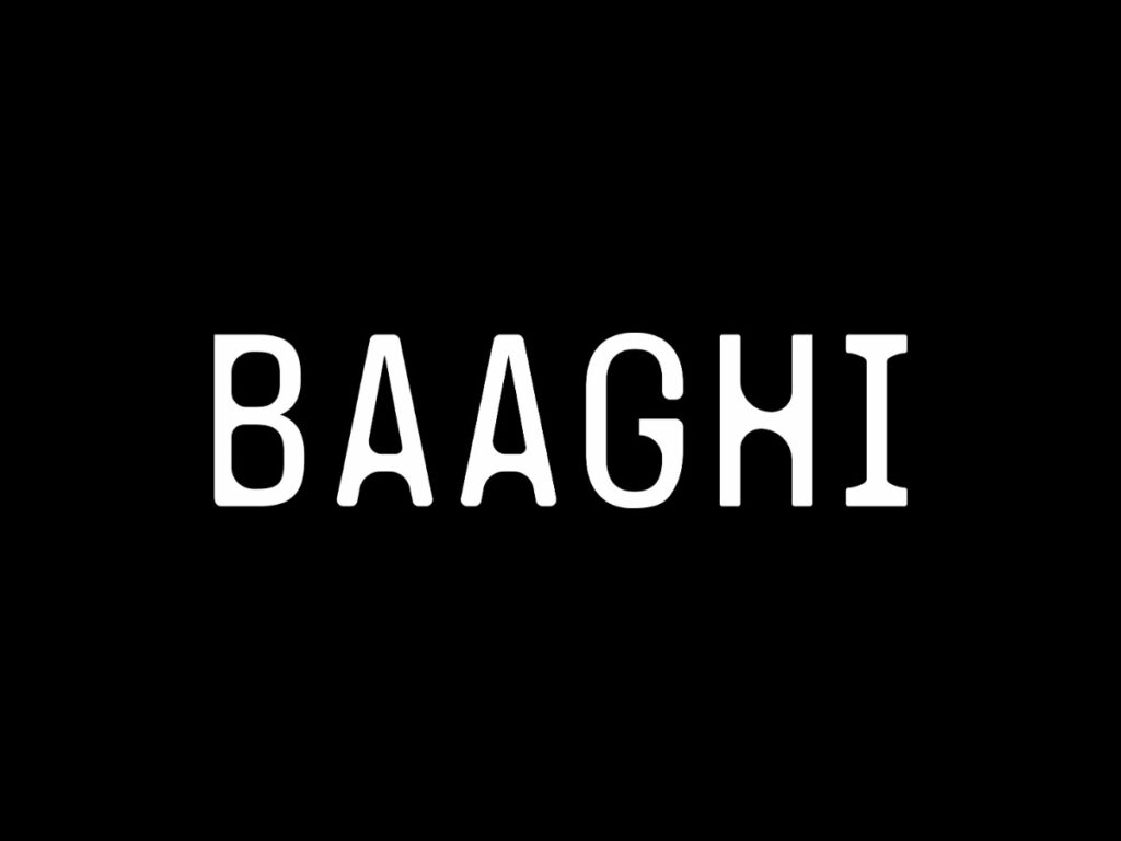 Baaghi Productions, Jaivardhan Khatri, Indian Music Label,