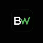 BullWiser: Empowering Indian Investors Through Data-Driven Mutual Fund Intelligence