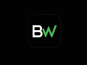 BullWiser: Empowering Indian Investors Through Data-Driven Mutual Fund Intelligence