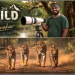 Rising Wildlife Photographer Diwakar: From Formals to Camouflage, Following His Heart into the Wild.