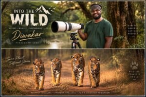 Rising Wildlife Photographer Diwakar: From Formals to Camouflage, Following His Heart into the Wild.